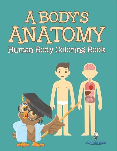 Cover image for A Body's Anatomy