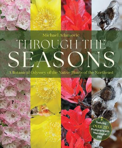 Cover image for Through the Seasons