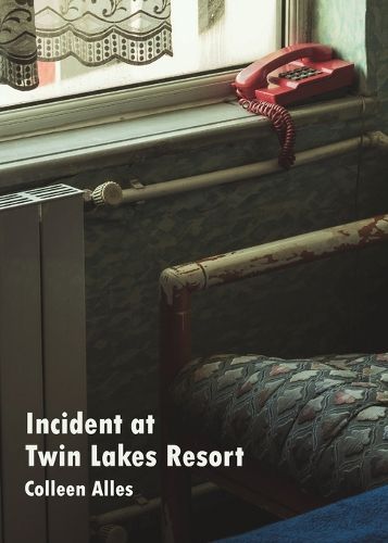 Cover image for Incident at Twin Lakes Resort