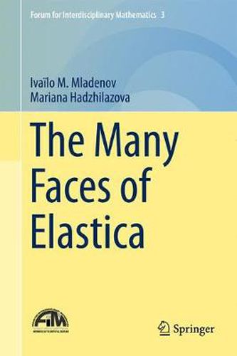 Cover image for The Many Faces of Elastica