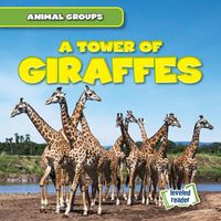 Cover image for A Tower of Giraffes