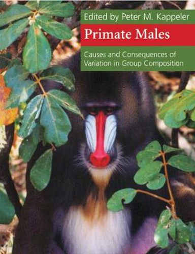 Cover image for Primate Males: Causes and Consequences of Variation in Group Composition