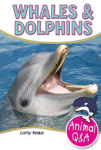 Cover image for Whales & Dolphins