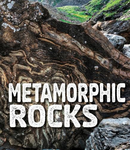 Cover image for Metamorphic Rocks