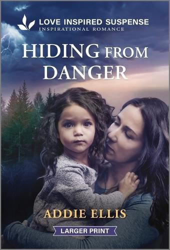 Cover image for Hiding from Danger