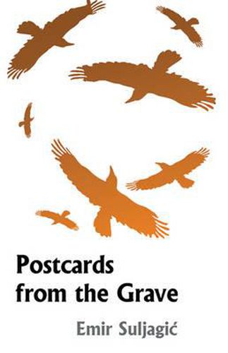 Cover image for Postcards from the Grave