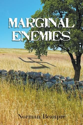 Cover image for Marginal Enemies