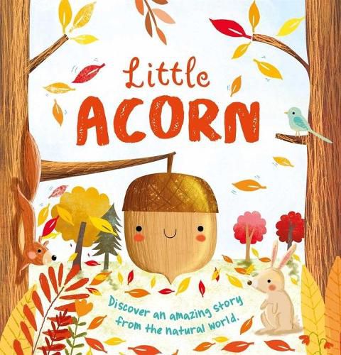 Cover image for Nature Stories: Little Acorn: Padded Board Book