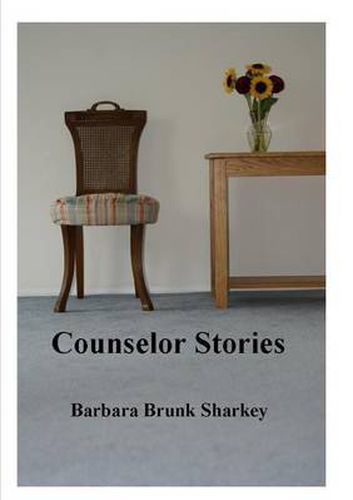 Cover image for Counselor Stories