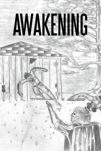 Cover image for Awakening