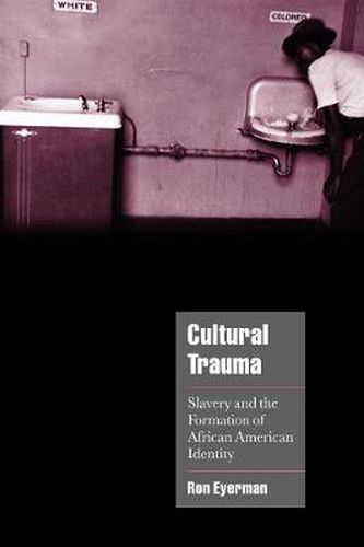 Cover image for Cultural Trauma: Slavery and the Formation of African American Identity