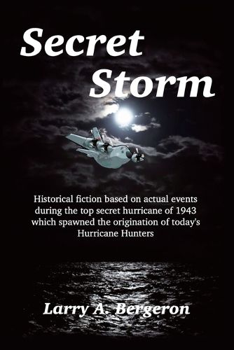 Cover image for Secret Storm