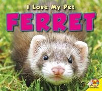 Cover image for Ferret