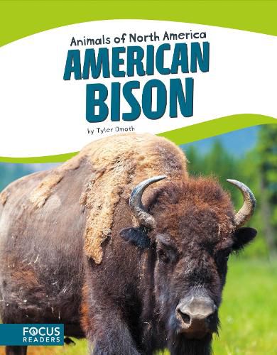 Animals of North America: American Bison