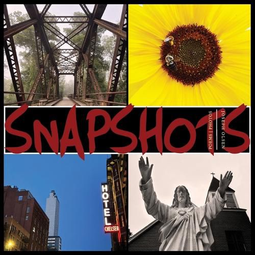 Cover image for Snapshots