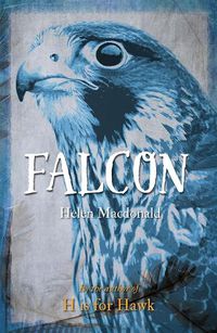 Cover image for Falcon