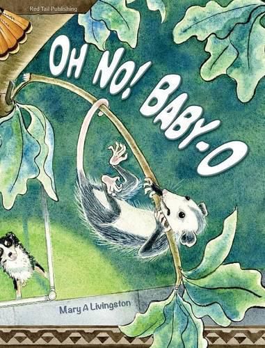 Cover image for Oh No! Baby-O