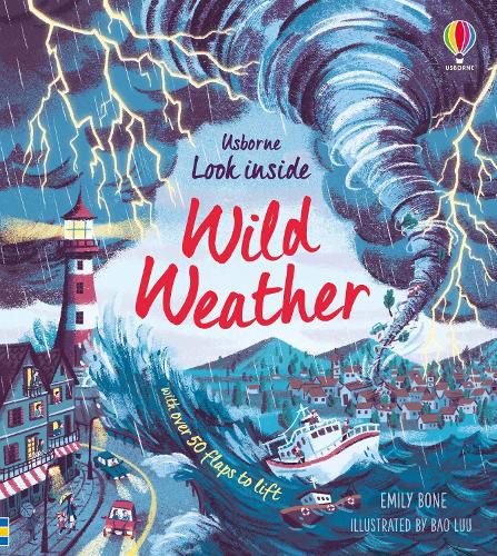 Cover image for Look Inside Wild Weather