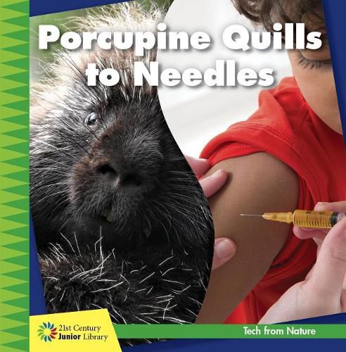 Cover image for Porcupine Quills to Needles