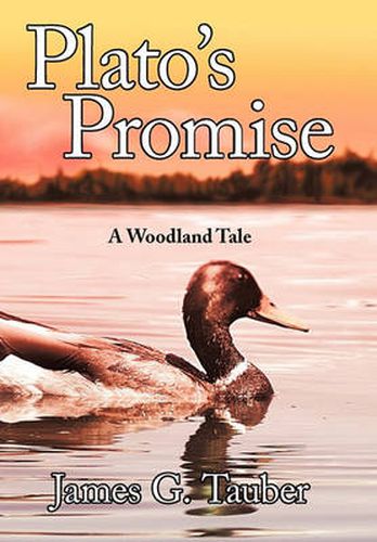 Cover image for Plato's Promise
