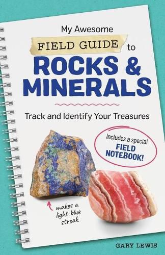 Cover image for My Awesome Field Guide to Rocks and Minerals: Track and Identify Your Treasures