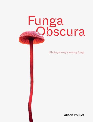 Cover image for Funga Obscura