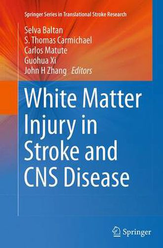 Cover image for White Matter Injury in Stroke and CNS Disease