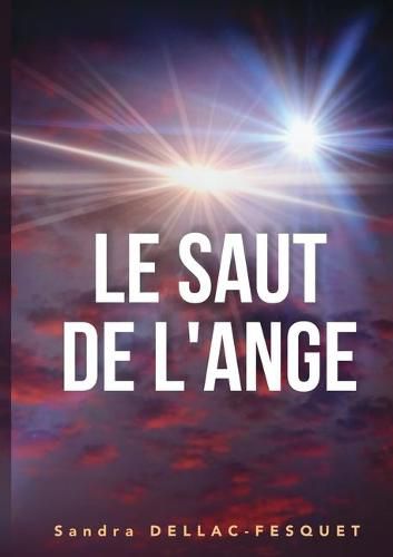 Cover image for Le Saut de l'Ange