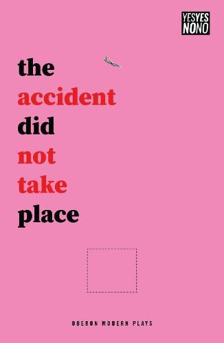 Cover image for The accident did not take place