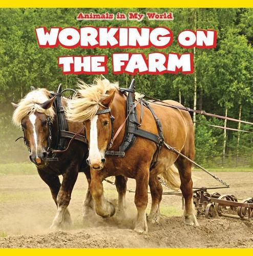 Working on the Farm