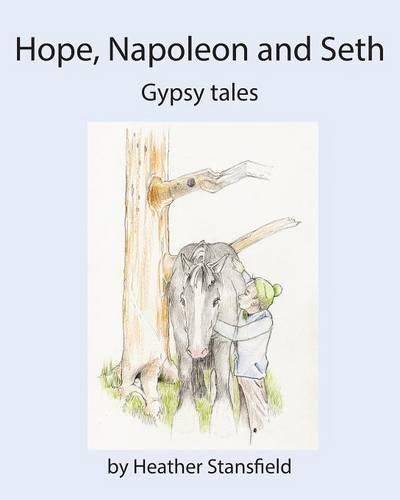 Cover image for Hope, Napoleon & Seth