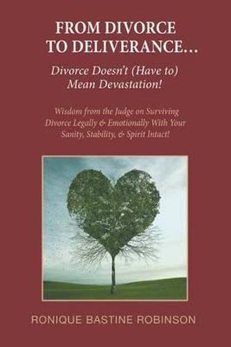 Cover image for From Divorce to Deliverance: Wisdom from the Judge on Surviving