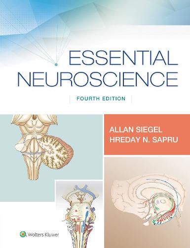 Cover image for Essential Neuroscience