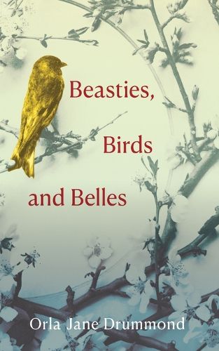 Cover image for Beasties, Birds and Belles