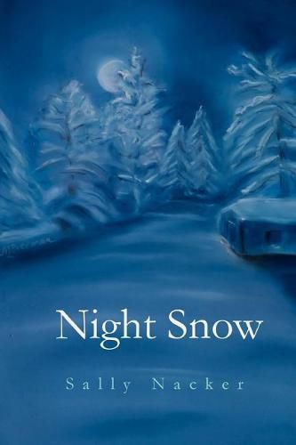 Cover image for Night Snow