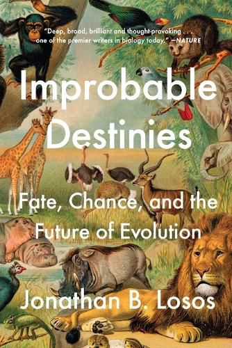 Cover image for Improbable Destinies: Fate, Chance, and the Future of Evolution