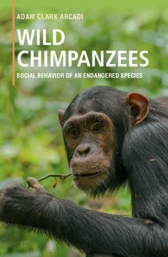 Cover image for Wild Chimpanzees: Social Behavior of an Endangered Species