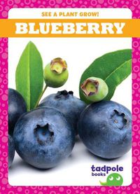 Cover image for Blueberry