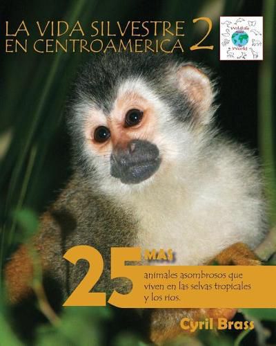 Cover image for La vida silvestre en Centroamerica 2: 25 Mas animales asombrosos que viven en las selvas tropicales y los rios