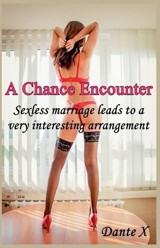 Cover image for A Chance Encounter