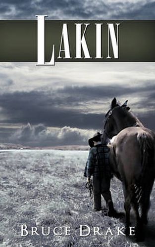 Cover image for Lakin