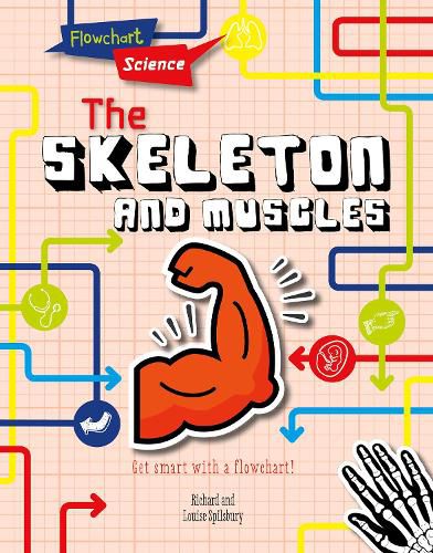 Cover image for The Skeleton and Muscles