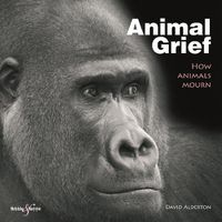 Cover image for Animal Grief: How Animals Mourn