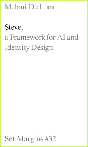 Steve: A Framework for AI and Identity Design