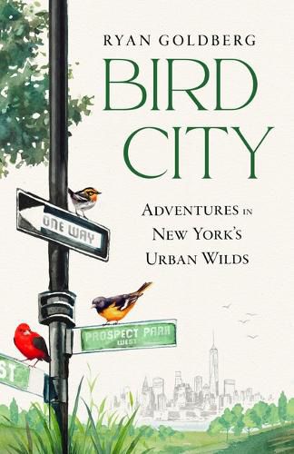 Cover image for Bird City