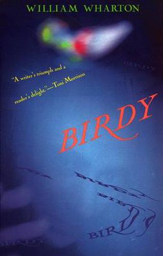 Cover image for Birdy