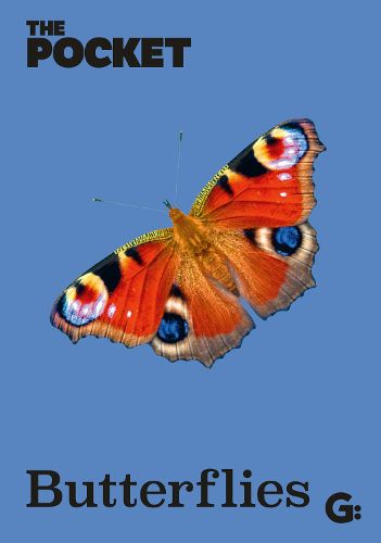 Cover image for The Pocket Butterflies