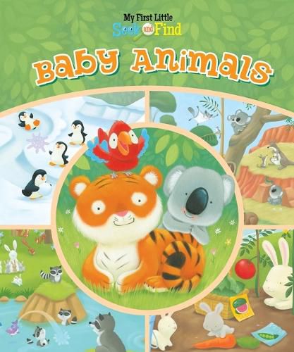 Baby Animals: My First Little Seek and Find