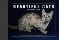 Cover image for Beautiful Cats Postcard Book: 30 Postcards of Champion Breeds to Keep or to Send
