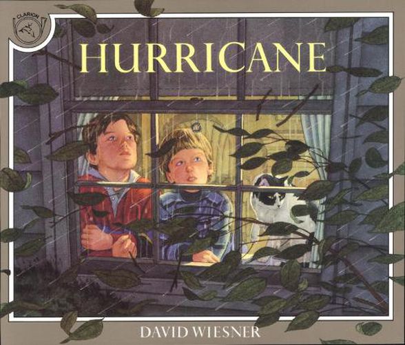 Cover image for Hurricane